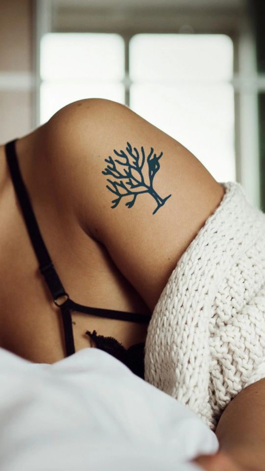Roots