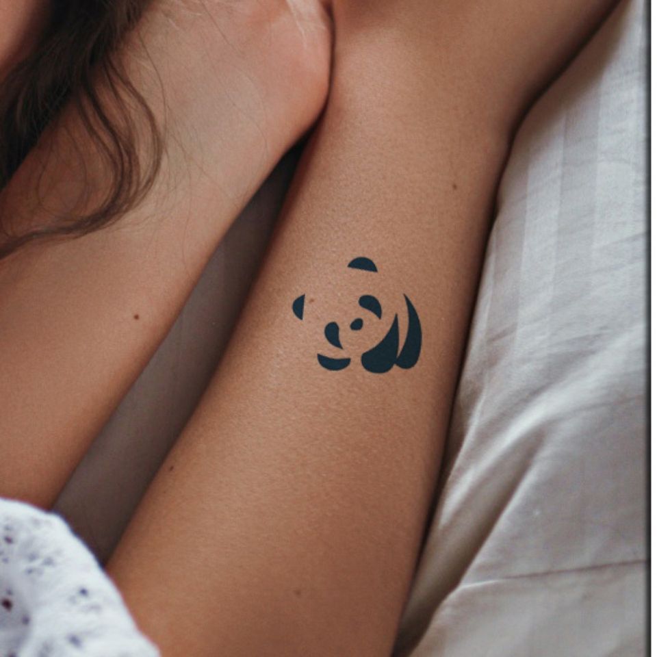 Panda Bear