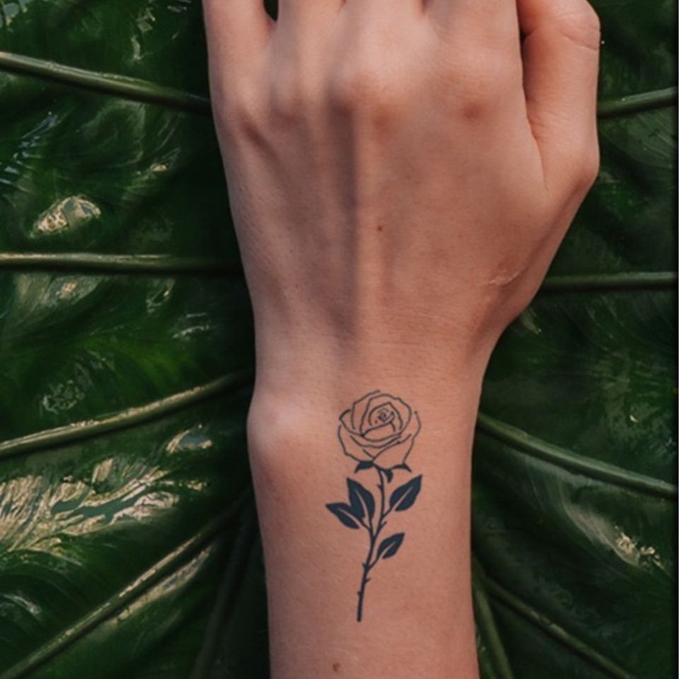 Rose