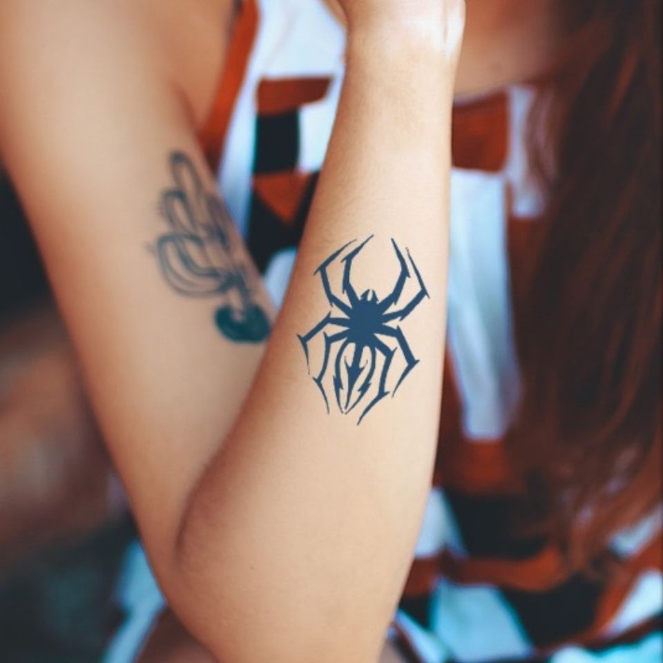 Spider