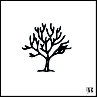 Roots